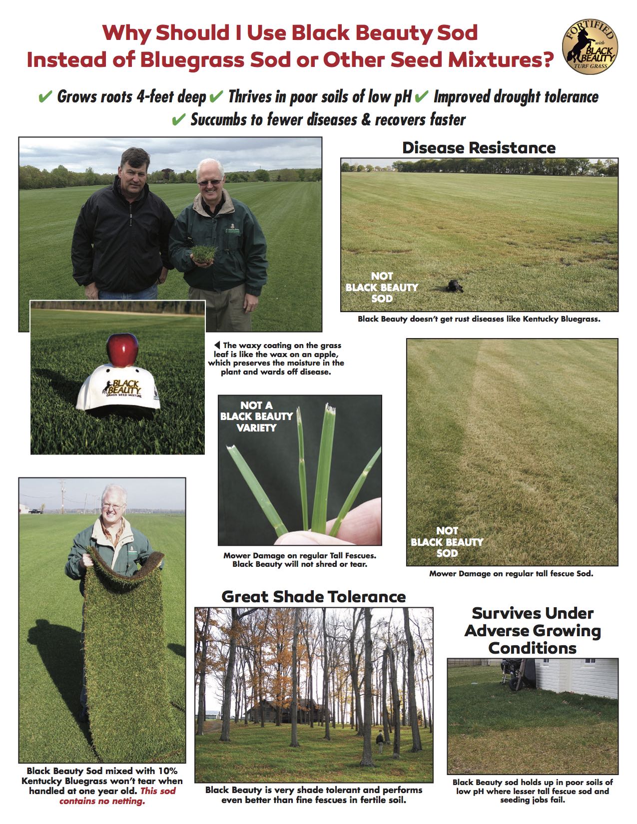 TECH SHEETS Cascade International Seed Co